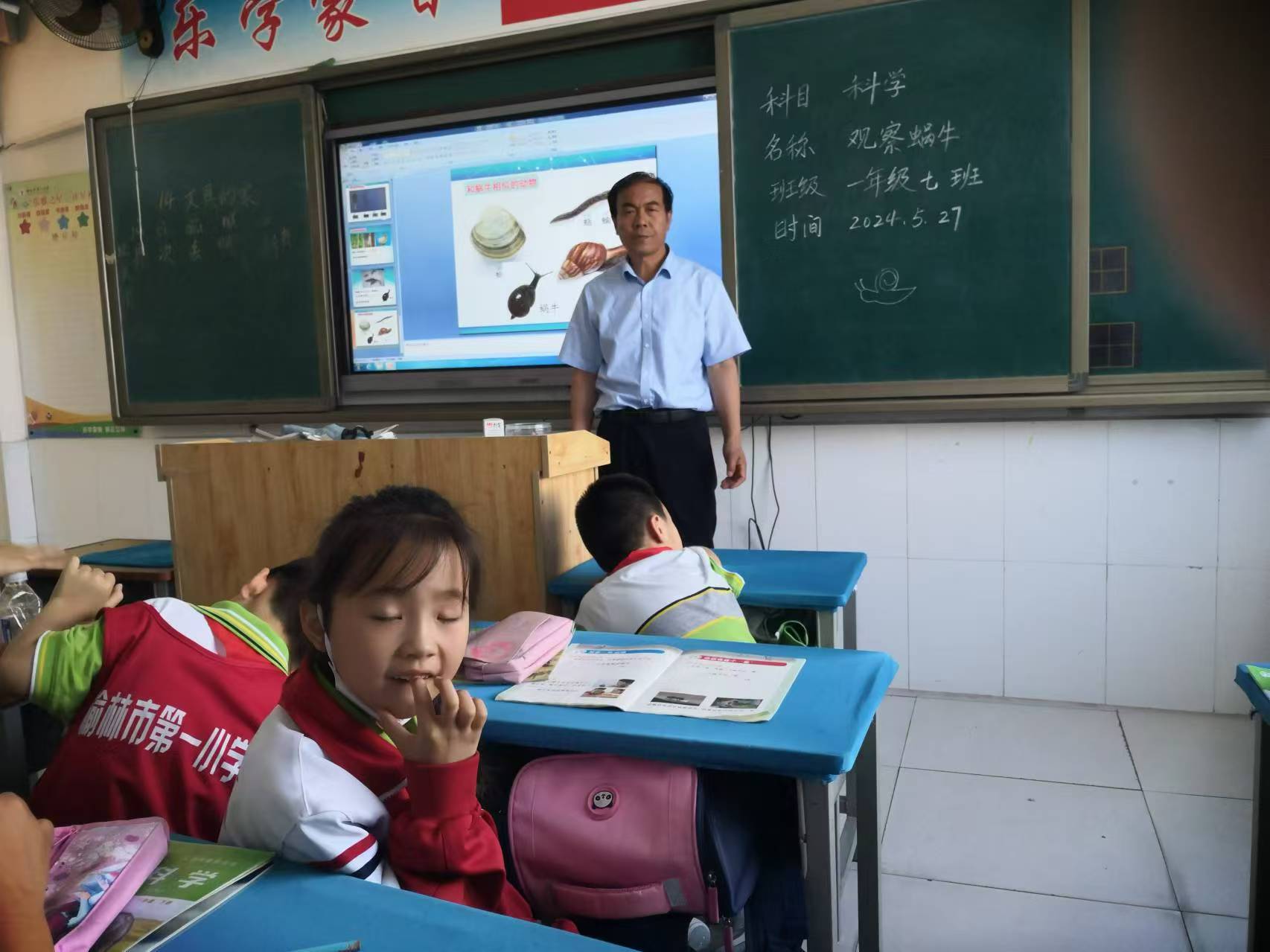 榆林市第二小学图片